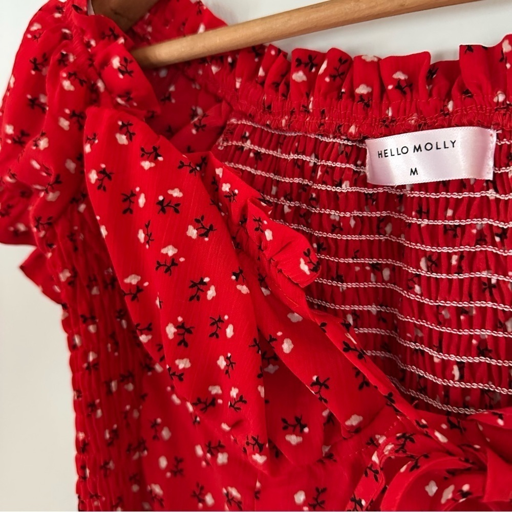 Hello Molly Red Blossom Babydoll smocked Dress Size Medium - Picture 3 of 12